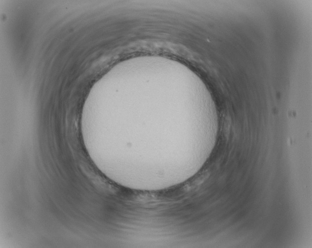 X0000083041489200702231916