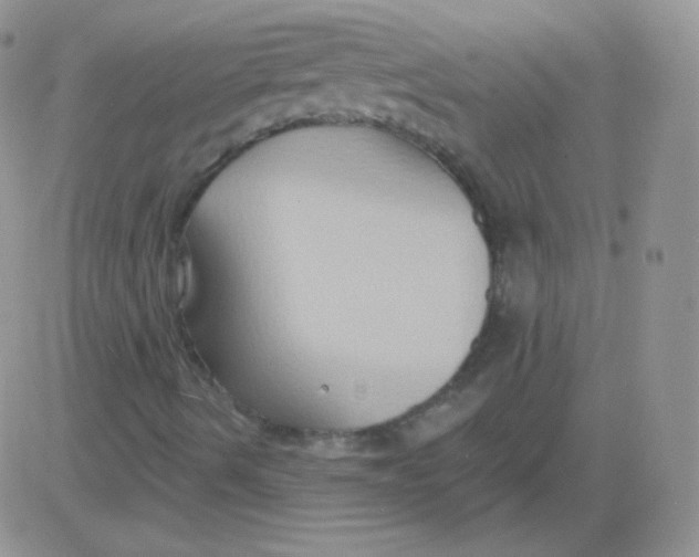 X0000083041490200702231916