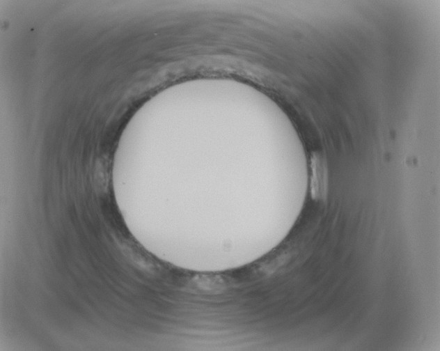 X0000083041491200702231916