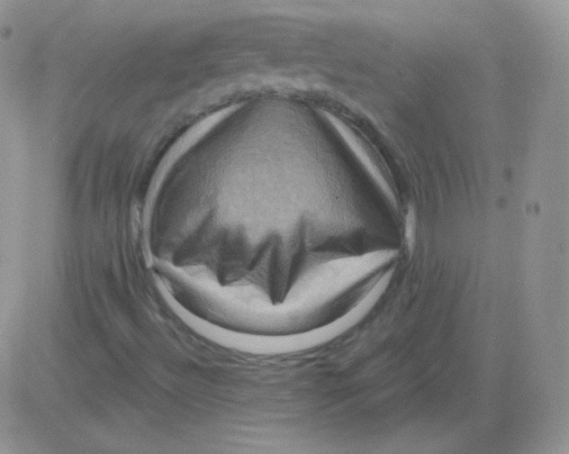 X0000083041492200702231916