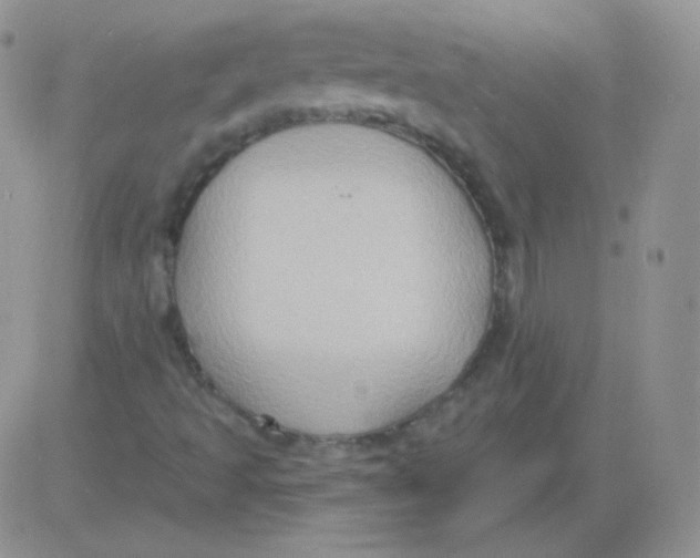 X0000083041493200702231916