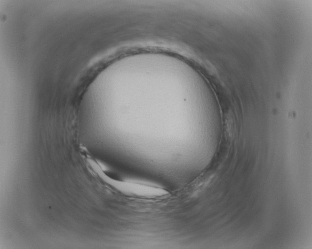 X0000083041494200702231916