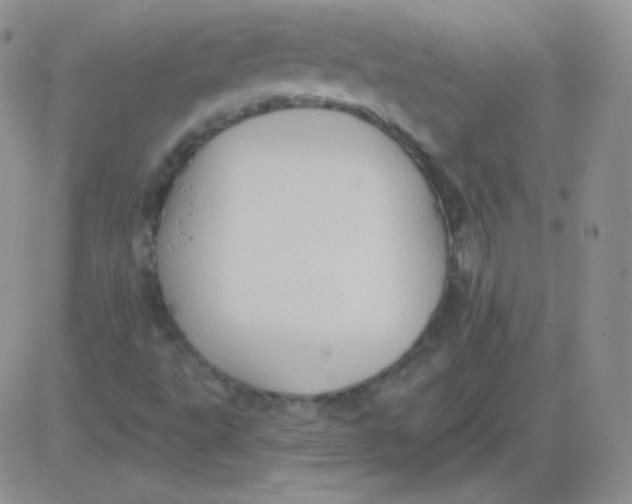 X0000083041495200702231916