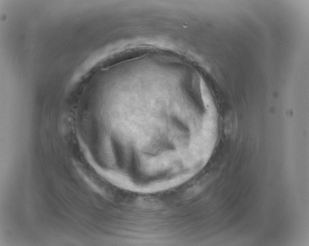 X0000083041496200702231916