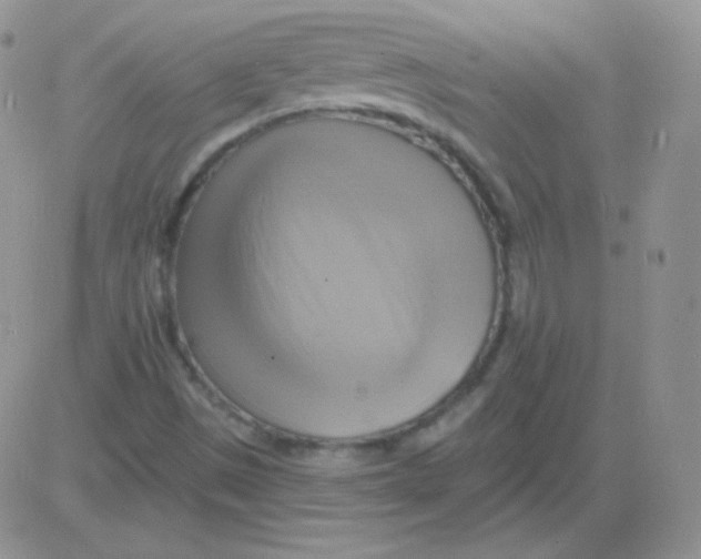 X0000083041497200702231916