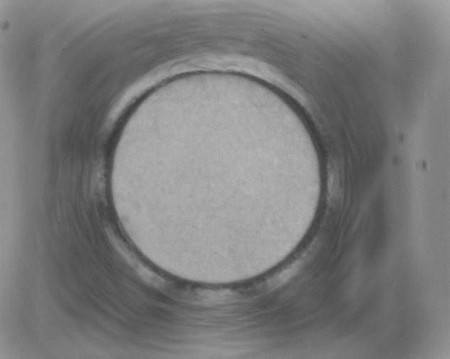 X0000083041498200702231916