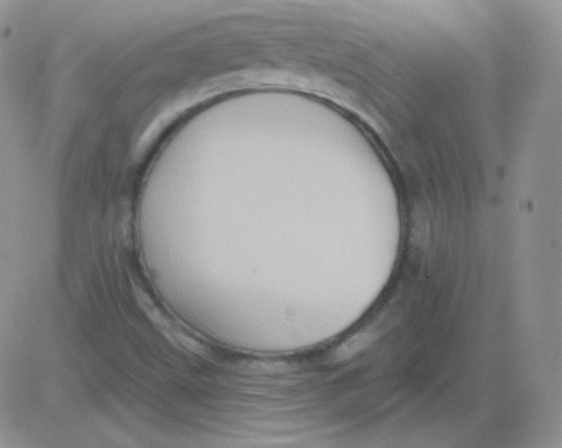 X0000083041499200702231916