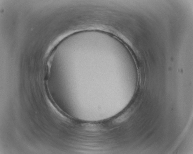 X0000083041500200702231916