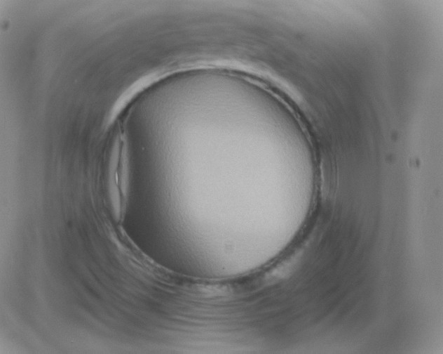 X0000083041501200702231916