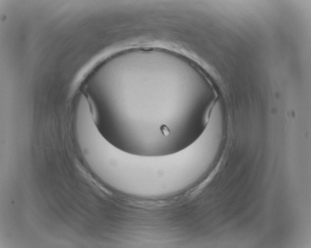 X0000083041502200702231916