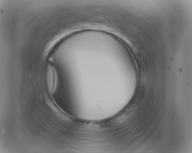 X0000083041503200702231916