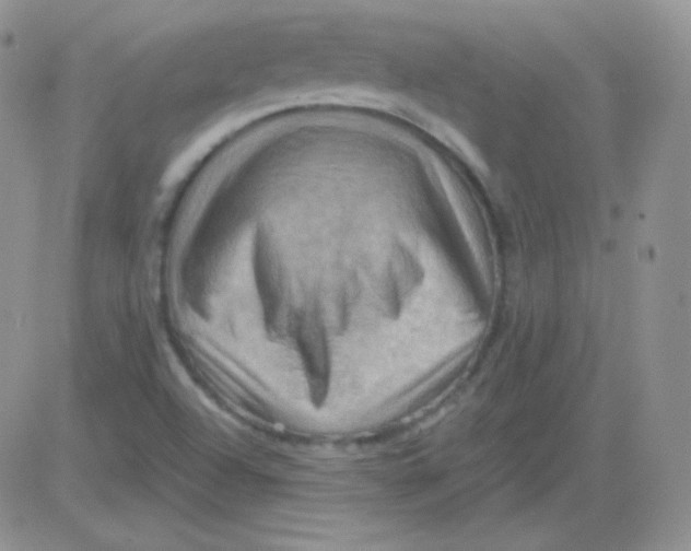 X0000083041504200702231916