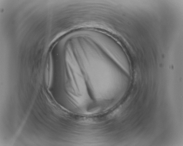 X0000083041505200702231916