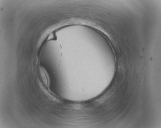 X0000083041507200702231916