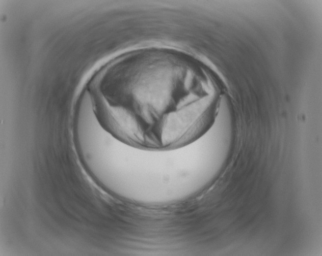 X0000083041508200702231916