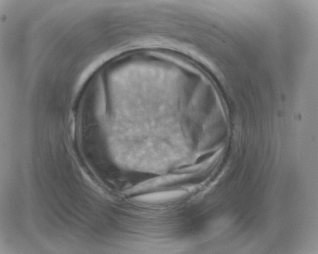 X0000083041509200702231916