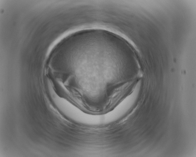 X0000083041510200702231916