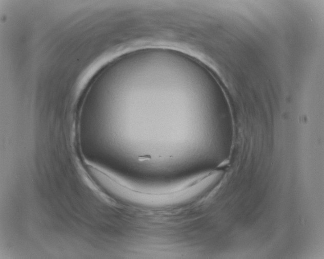 X0000083041511200702231916