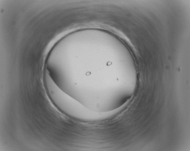 X0000083041512200702231916