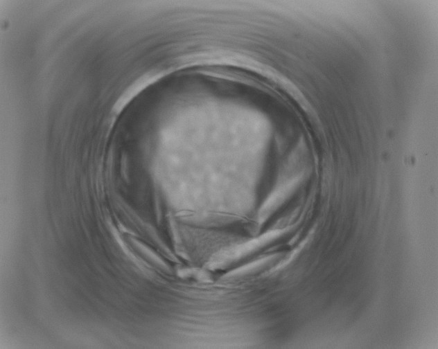 X0000083041513200702231916