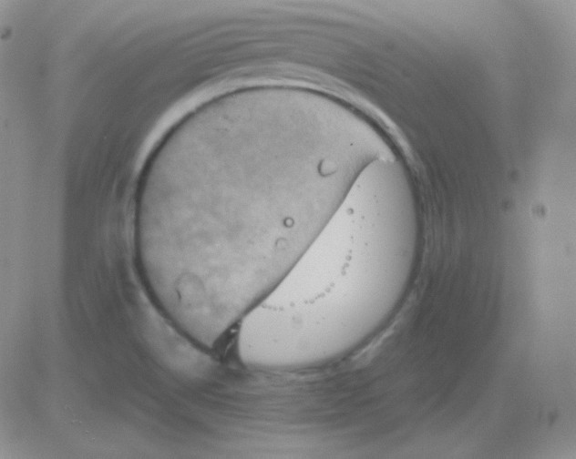 X0000083041514200702231916