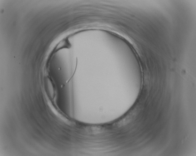 X0000083041515200702231916