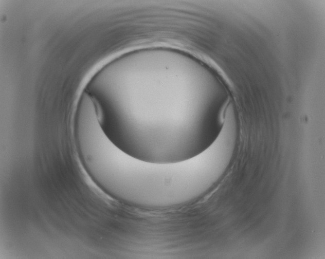 X0000083041516200702231916