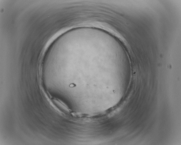 X0000083041517200702231916