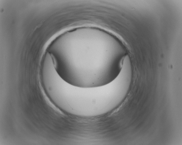 X0000083041518200702231916