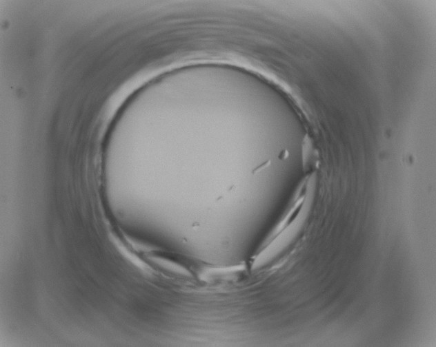 X0000083041519200702231916