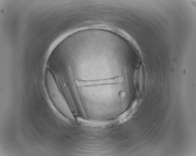 X0000083041520200702231916