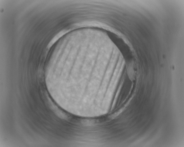 X0000083041521200702231916