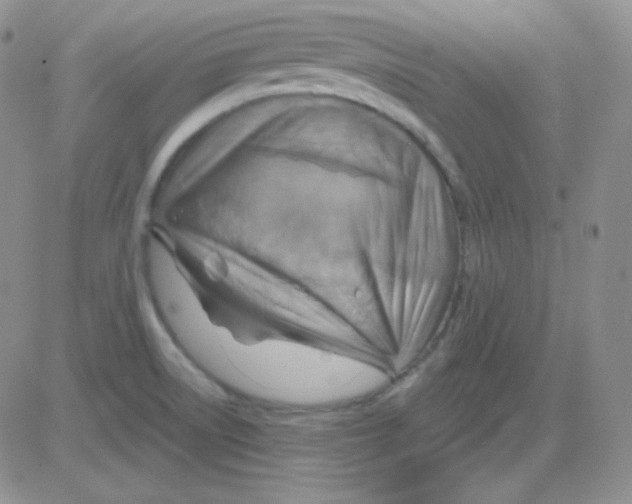 X0000083041522200702231916