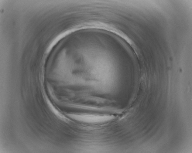 X0000083041523200702231916