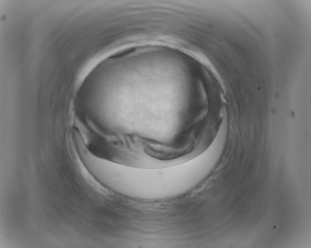 X0000083041524200702231917