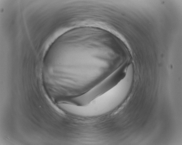 X0000083041525200702231917