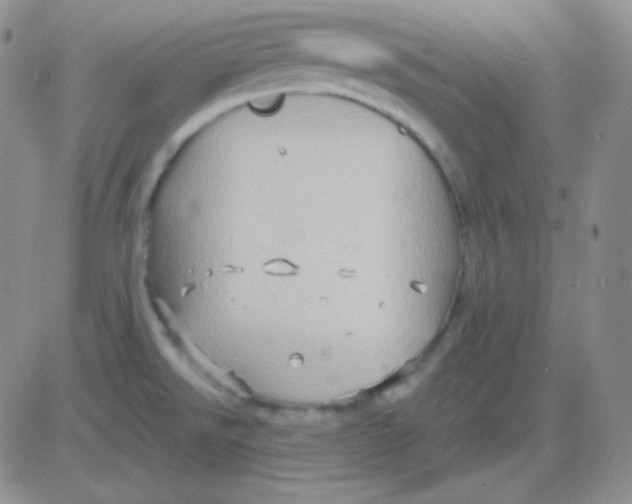 X0000083041526200702231917