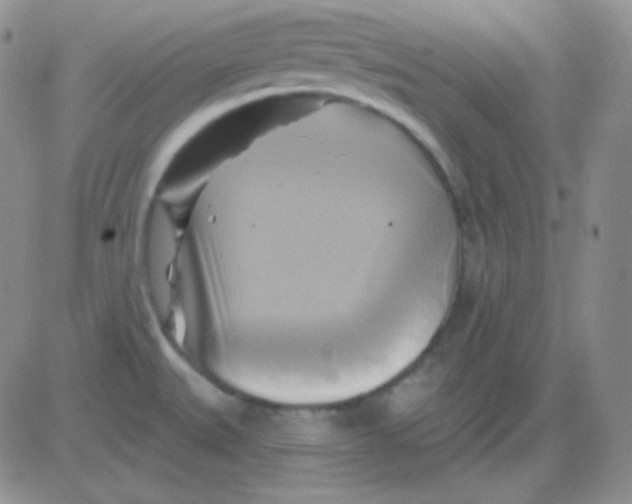 X0000083041527200702231917