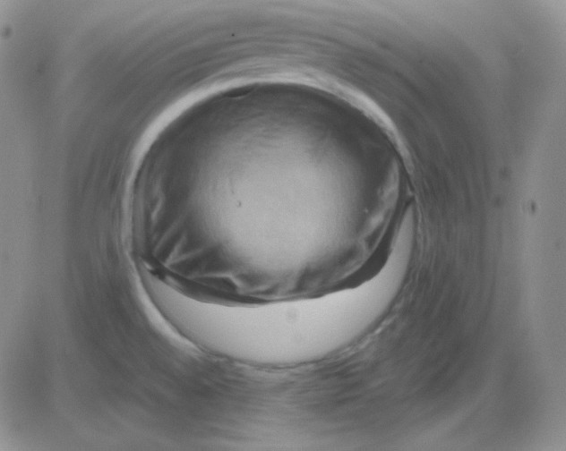 X0000083041528200702231917