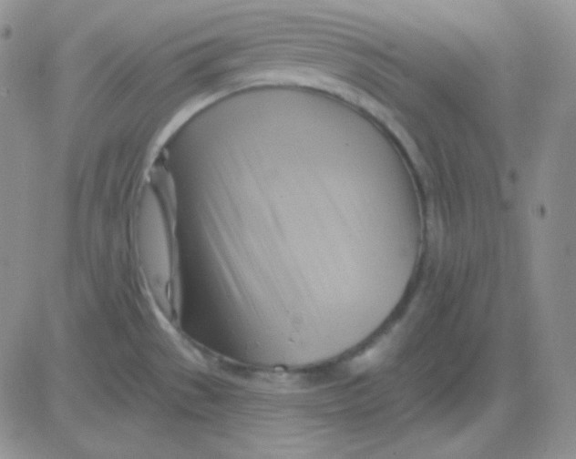 X0000083041529200702231917