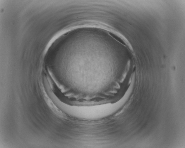 X0000083041530200702231917