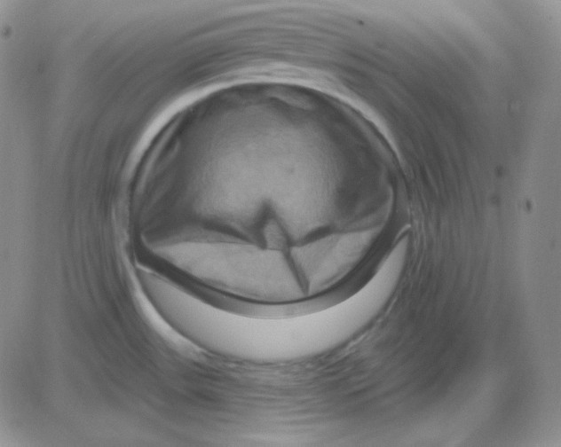 X0000083041531200702231917