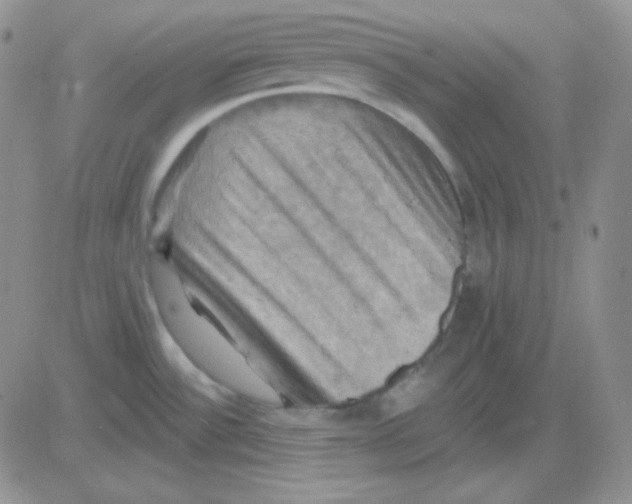 X0000083041532200702231917