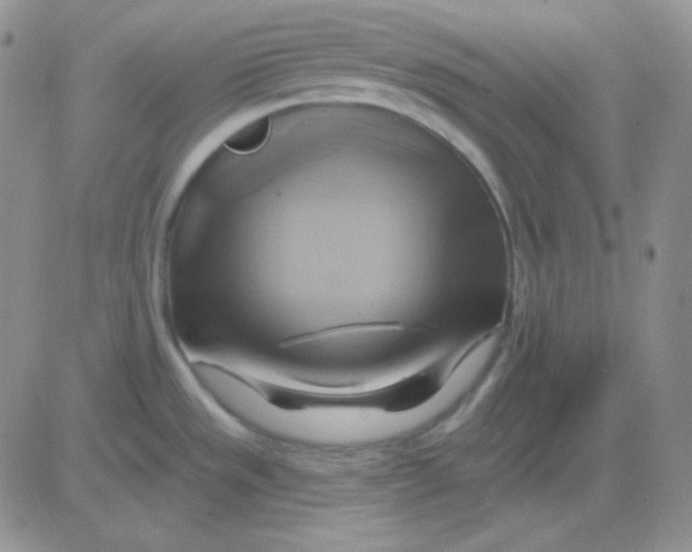 X0000083041533200702231917