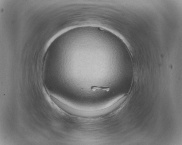 X0000083041534200702231917