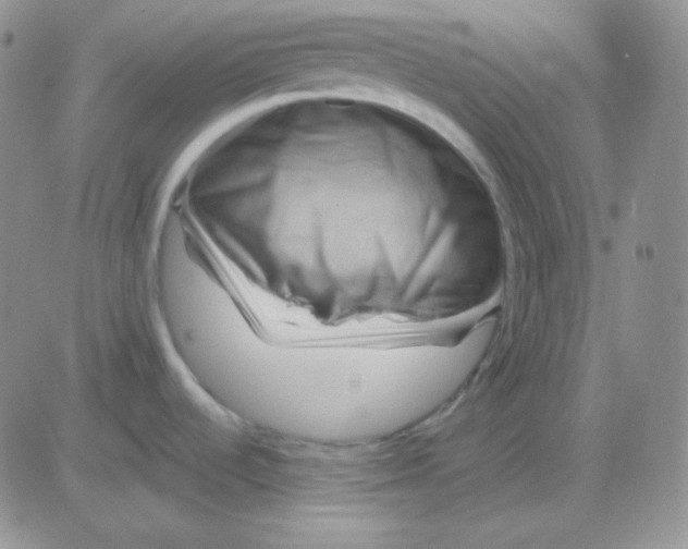 X0000083041536200702231917