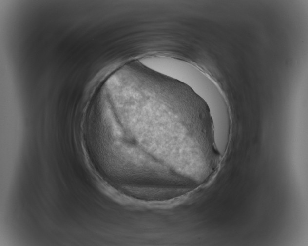 X0000083040001200703022059
