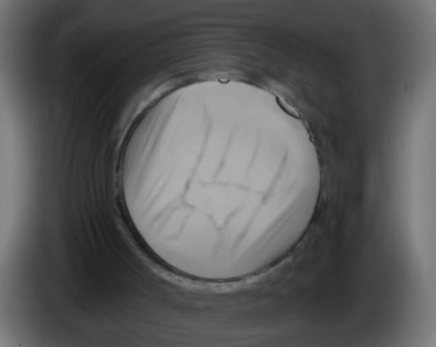 X0000083040002200703022059