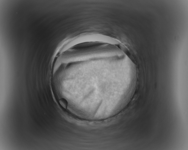 X0000083040003200703022059
