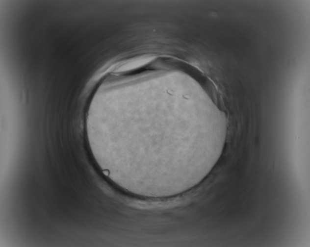 X0000083040005200703022059